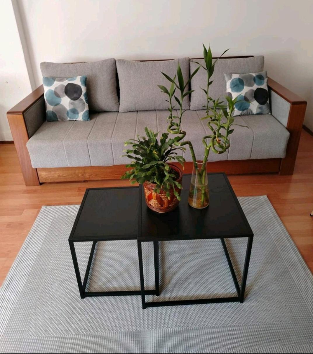 בלגרד Apartman Oaza Olja מראה חיצוני תמונה